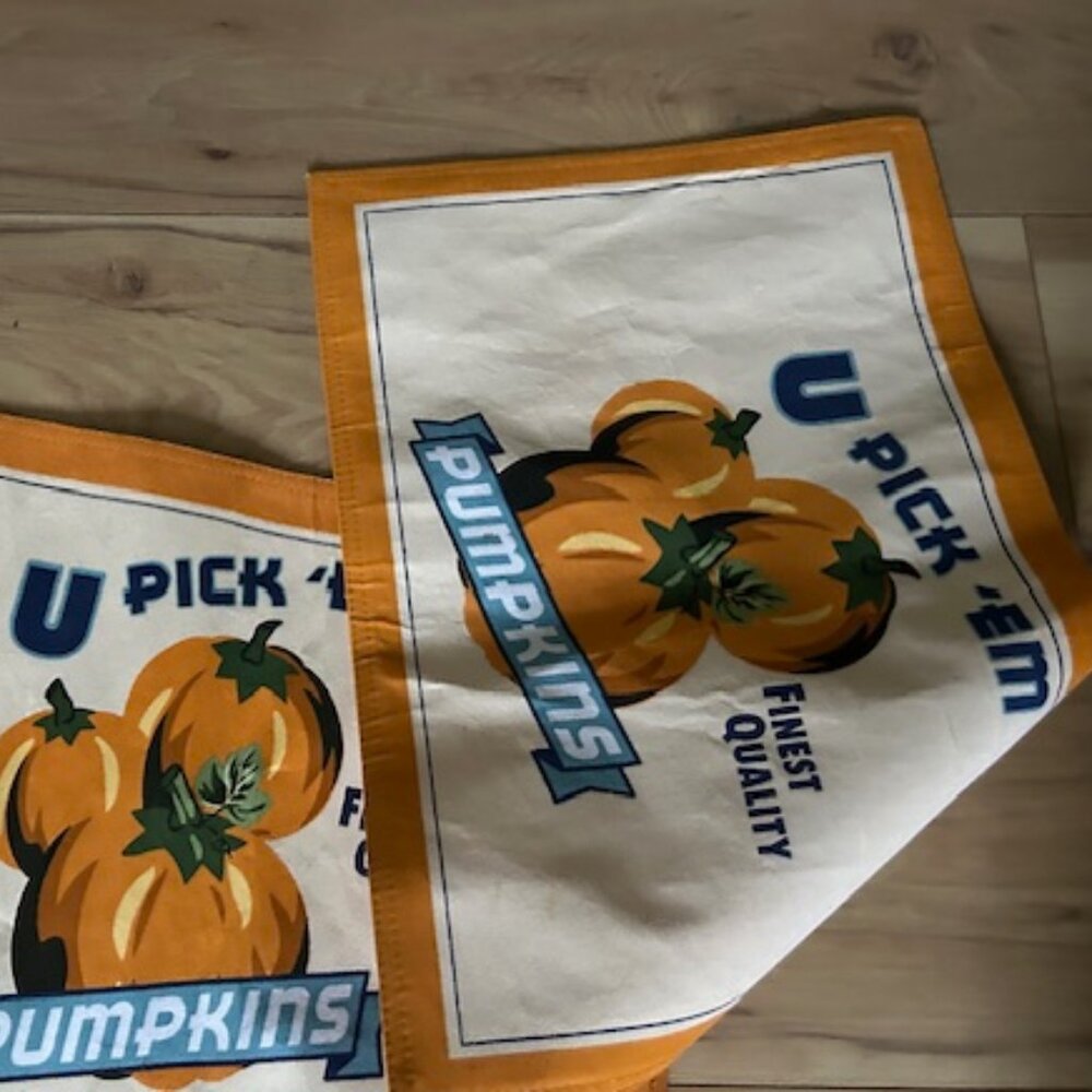 fall pumpkin harvest set lot placemats 2